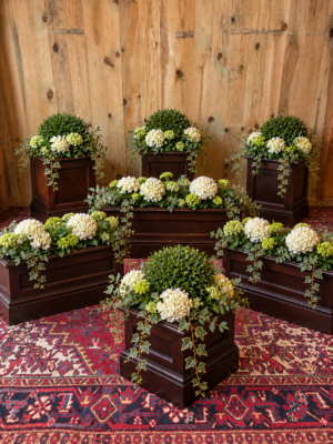 Ensemble de sept jardinières en acajou