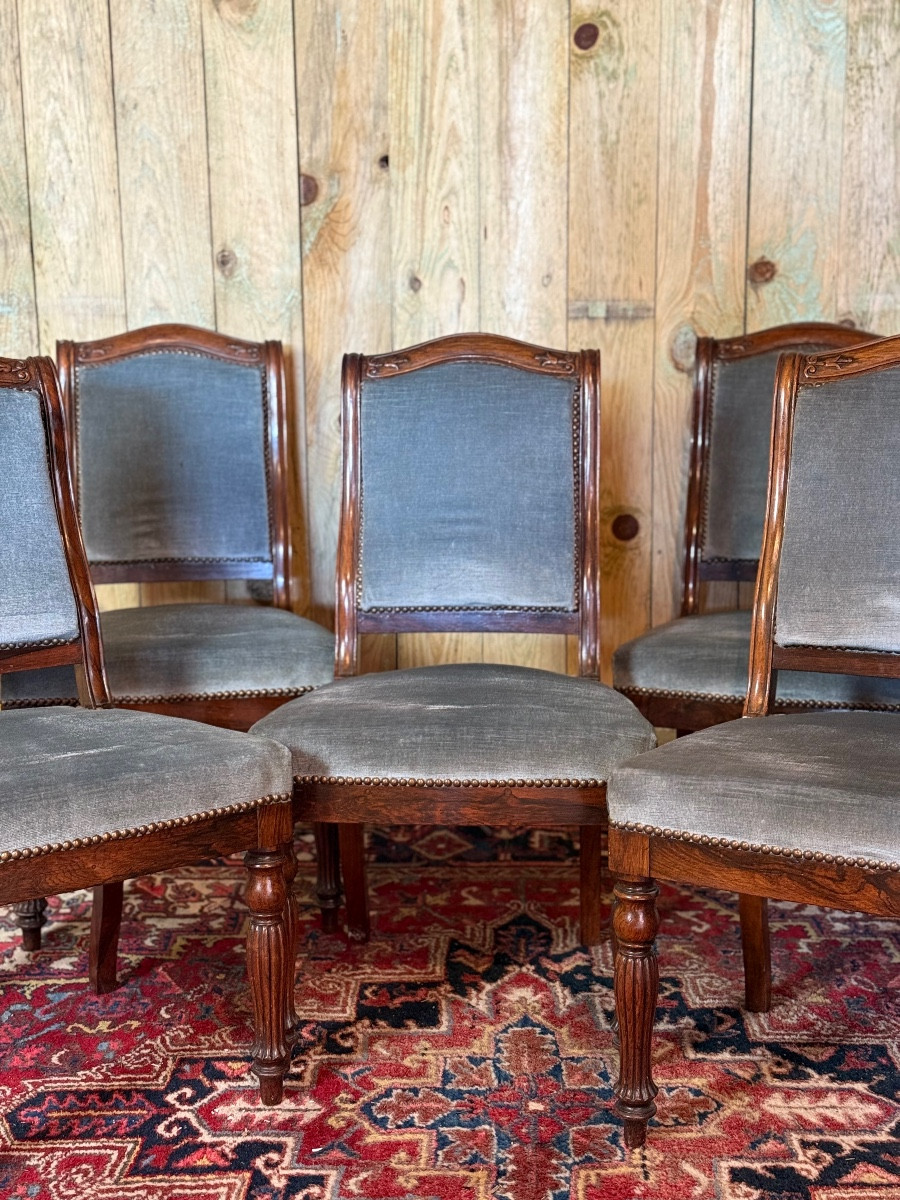 Suite de cinq chaises d’époque Louis-Philippe en palissandre – Image 3