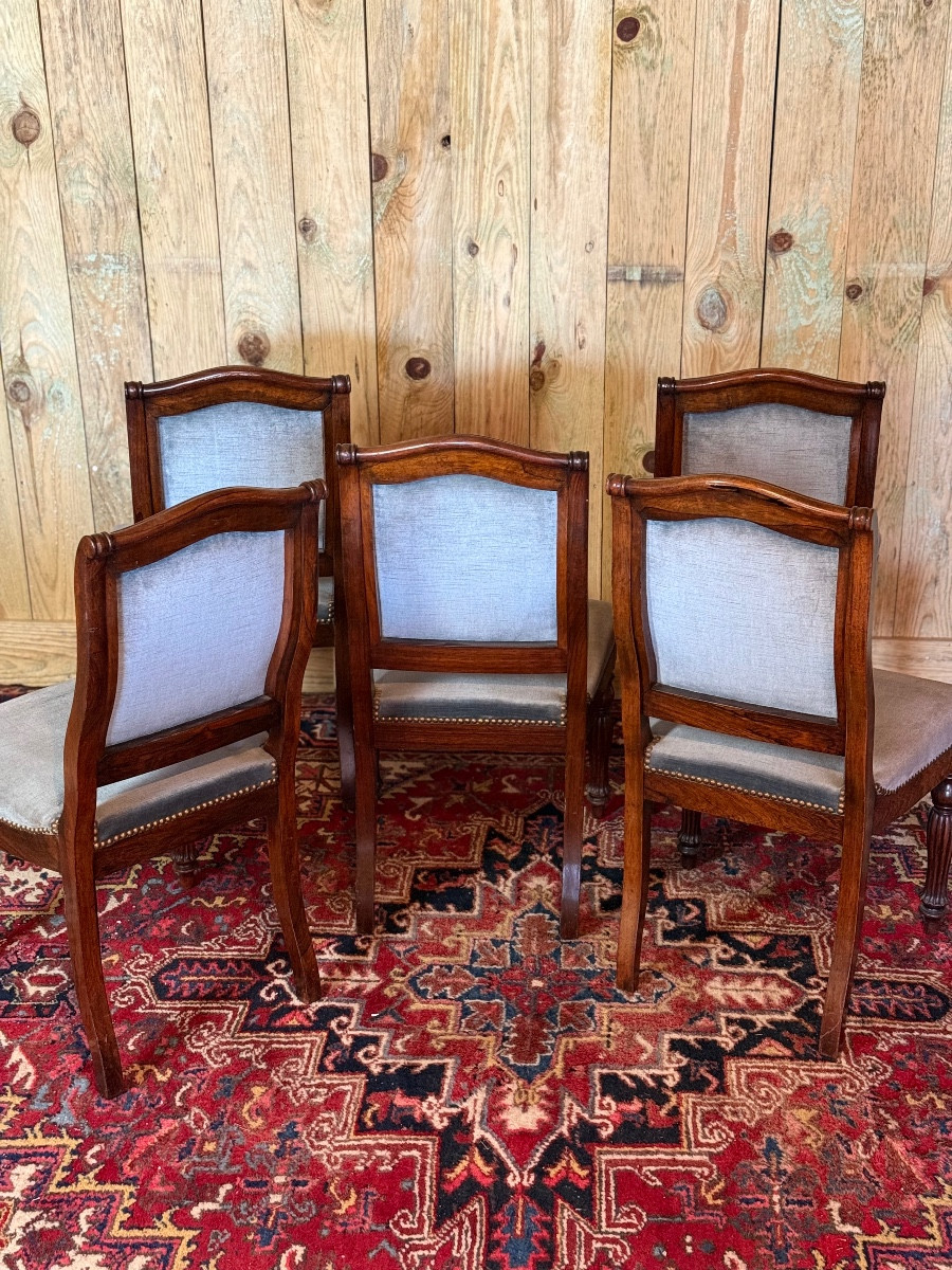 Suite de cinq chaises d’époque Louis-Philippe en palissandre – Image 5
