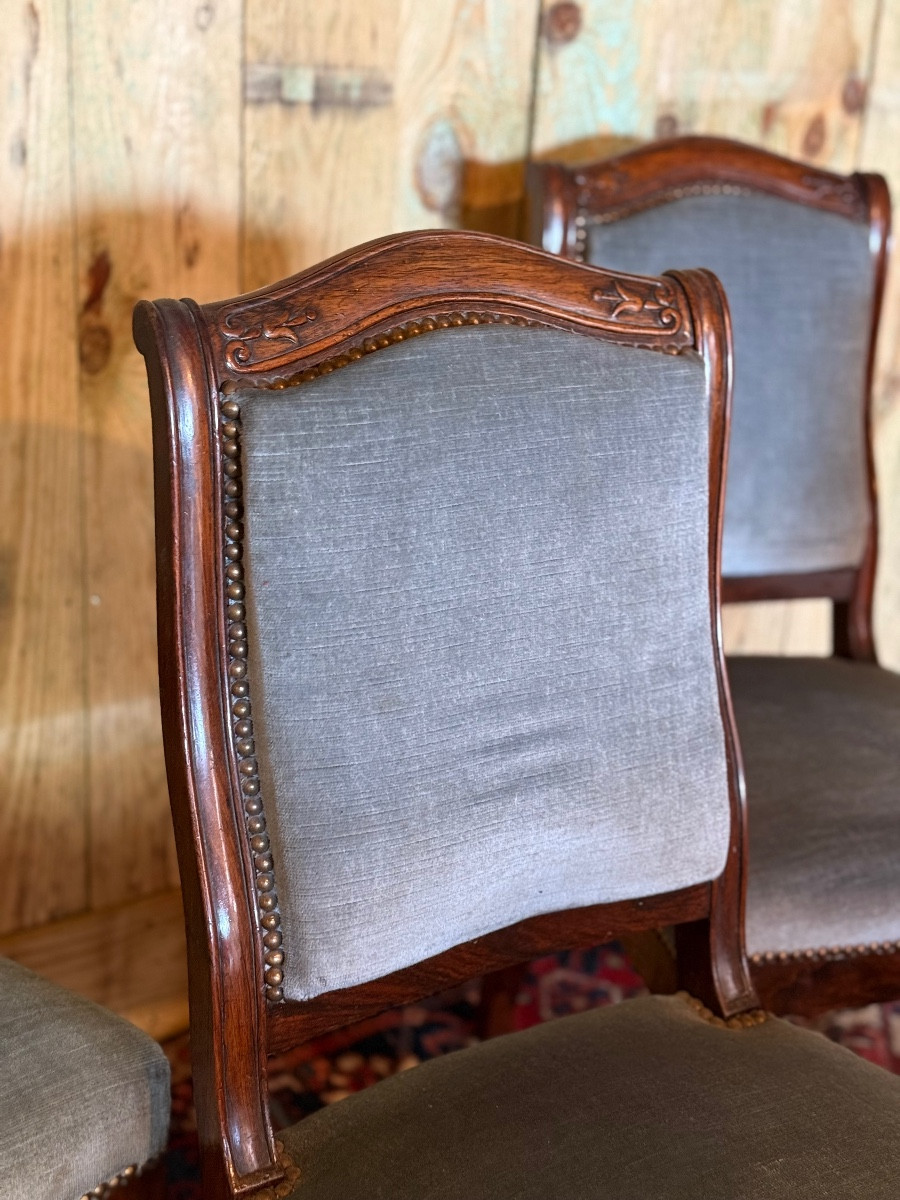 Suite de cinq chaises d’époque Louis-Philippe en palissandre – Image 6