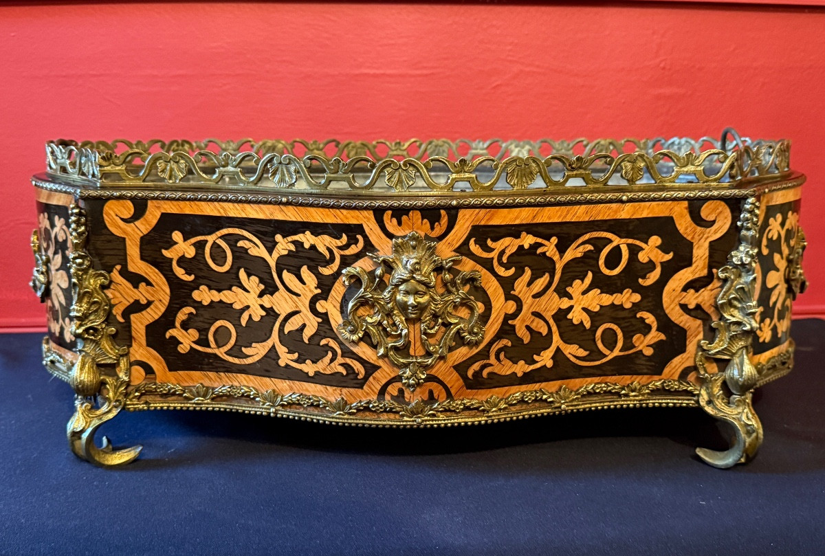 Grande jardinière en marqueterie d’époque Napoléon III – Image 2