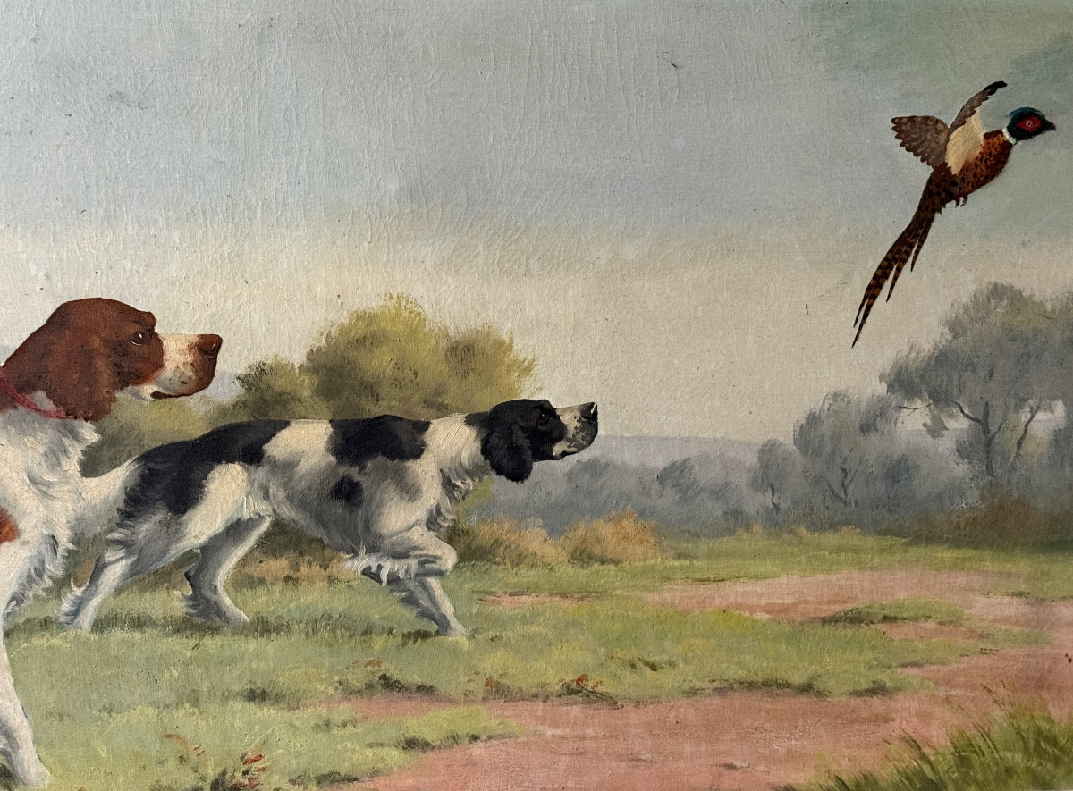 Chiens de chasse à l'arrêt sur un faisan – Image 2