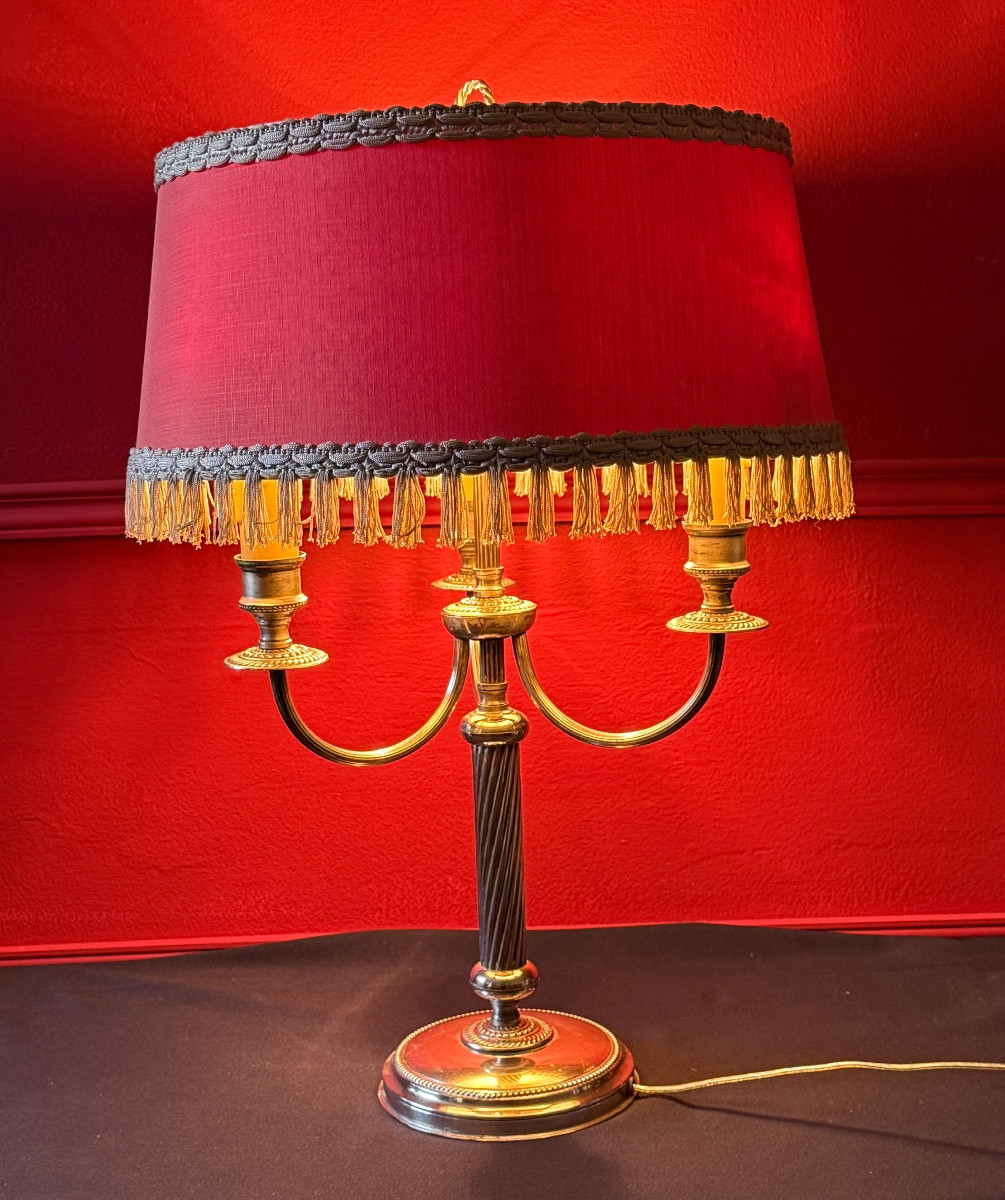 Lampe de style Louis XVI en métal argenté – Image 2